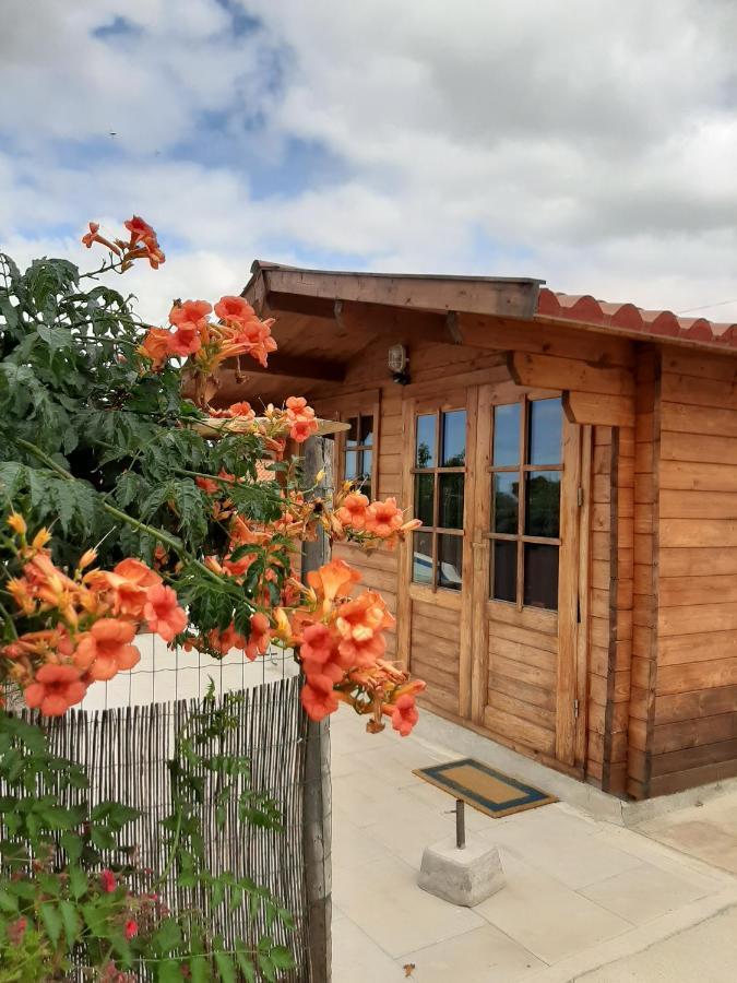 Hotel Quinta Do Pinheiro Grândola Exterior foto